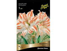 ��������� ������� ����.jpg