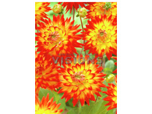 88,7���. �������� ����� ��� ����(�������� ���� �� 1 ��., ����������� ����� 1��.)���16.jpg