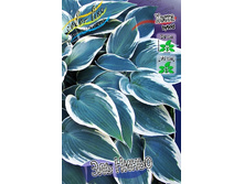 164,2���. ����� ��� �����(�������� ���� �� 1 ��., ����������� ����� 1��.).jpg