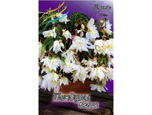 42,04���. ������� ������� �����(��� 5 ��. ���������� �� 2��.).jpg