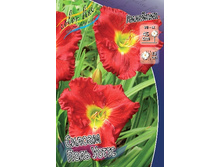 123,1���. �������� ������ ���� �����(�������� ���� �� 1 ��., ����������� ����� 1��.).jpg