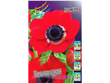 6,15���. ������� ���������(���������� ������ ������ ���������� �� 10 ��.).jpg