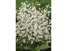 101,85���. ���������� �������� ��(�������� ���� �� 2 ��., ����������� ����� 1��.).jpg