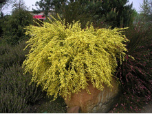 121���. �������� ������.jpg