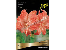 ��������� ���� �����.jpg