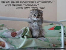 �������)