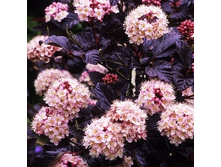 129���. ������������� ������������� ��� �����.jpg