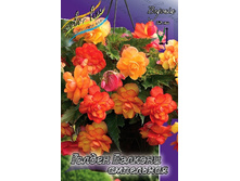 53,72���. ������� ��������� ������ �������.jpg