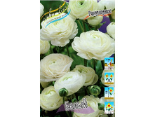 8,84���. ���������� �����(���������� ������ ������ ���������� �� 10 ��.).jpg