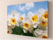 ����� �������� 1-1.jpg