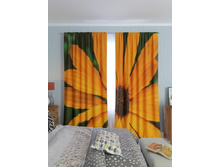 ��������� ����� ������.jpg