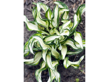 401,1���. ����� ���������(�������� ���� �� 1 ��., ����������� ����� 1��.)���17.jpg