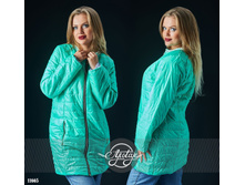 ������ - 11665, 1247 ���. (462 ���.)