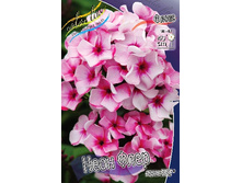 93,95���. ����� NEON ���� ����(�������� ���� �� 2 ��., ����������� ����� 1��.).jpg