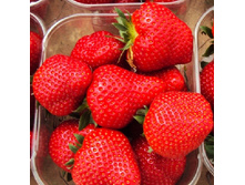 33,64���. ��������� ������� ��������(���������� ������ ������ ����������. � �������� 5 ��.).jpg