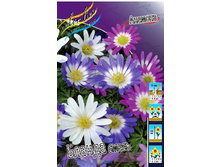 6,15���. ������� ������ �����(���������� ������ ������ ���������� �� 10 ��.).jpg