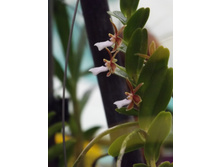 DSCF8159.JPG