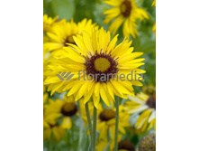 100,25���. ��������� ����� �����(�������� ���� �� 2 ��., ����������� ����� 1��.).jpg