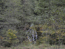 DSC 6972.JPG