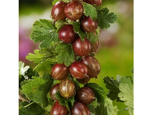 161���. ��������� ��������.jpg