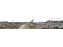 IMG 20161029 095339.jpg