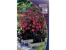 108,9���. ������� ������� ���������(�������� ���� �� 1 ��., ����������� ����� 1��.).jpg