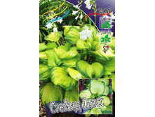 116,8���. ����� ������ �����(�������� ���� �� 1 ��., ����������� ����� 1��.).jpg