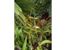 DSCF8137.JPG