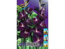 9,41���. ��������� �����(���������� ������ ������ ���������� �� 9 ��.).jpg