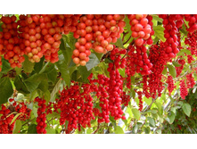 �������� ��������� ������� №1-237.jpg