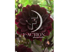 81,8���. �������� ����� ����(�������� ���� �� 1 ��., ����������� ����� 1��.)���17.jpg