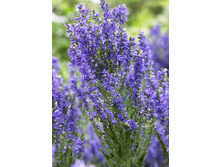 148,4���. �������� �������� ����(�������� ���� �� 1 ��., ����������� ����� 1��.).jpg