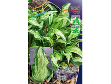 219,5���. ����� ������� ���(�������� ���� �� 1 ��., ����������� ����� 1��.).jpg