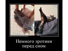 �������)