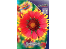 86,05���. ��������� �������(�������� ���� �� 2 ��., ����������� ����� 1��.).jpg