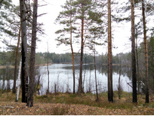 ����������