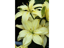 23,92���. ����� �������� ����(��� 5 ��. ���������� �� 2��.).jpg