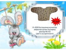 �-009 ���������� �� ������