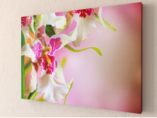 ��������� ������ 1-1.jpg