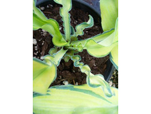 211,6���. ����� ����� ������(�������� ���� �� 1 ��., ����������� ����� 1��.)���17.jpg