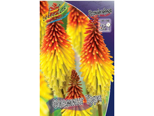 113,7���. �������� ������� ����(�������� ���� �� 1 ��., ����������� ����� 1��.).jpg