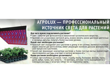 56b326bae229d lampa-penel.jpg