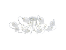 334012508 7000�.jpg