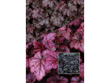 153,2���. ������� ������� ����(�������� ���� �� 1 ��., ����������� ����� 1��.).jpg