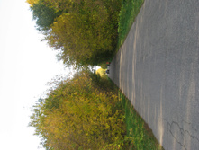 IMG 6753.jpg