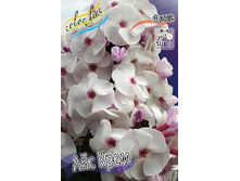 78,15���. ����� ��� ����(�������� ���� �� 2 ��., ����������� ����� 1��.).jpg