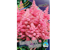 95,55���. �������� ������ ��� �������(�������� ���� �� 2 ��., ����������� ����� 1��.).jpg