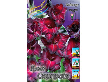 8,53���. ��������� ���� ��������(���������� ������ ������ ���������� �� 7 ��.).jpg