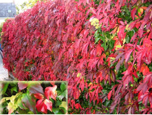 150���. ������� �������� ����������.jpg