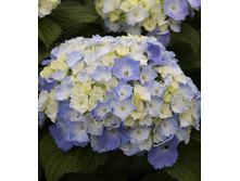 151���. ��������� �������������� �����-���.jpg